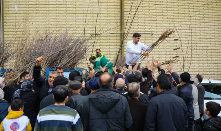 عملکرد ۴ ساله کاشت درخت و توزیع نهال  ۷۹۷۰ اصله